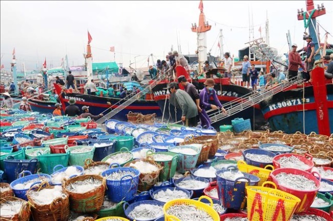 Vietnam's seafood exports reached about 3.2 billion USD in 2019