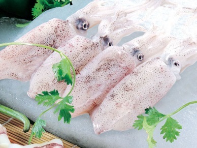 South Korea reduced imports of squid and octopus